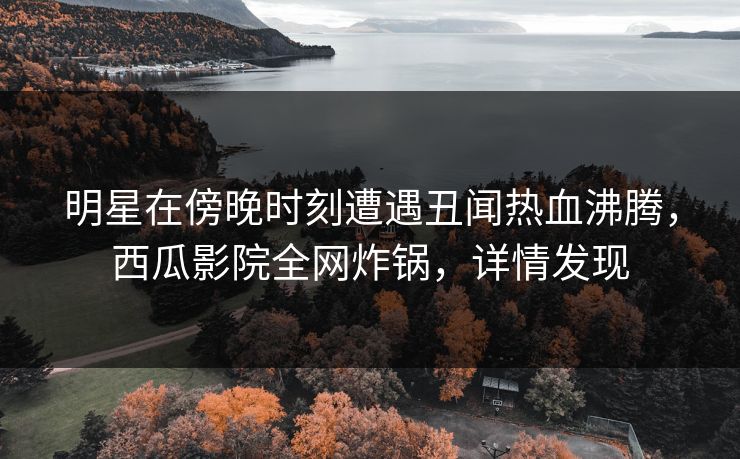 明星在傍晚时刻遭遇丑闻热血沸腾，西瓜影院全网炸锅，详情发现
