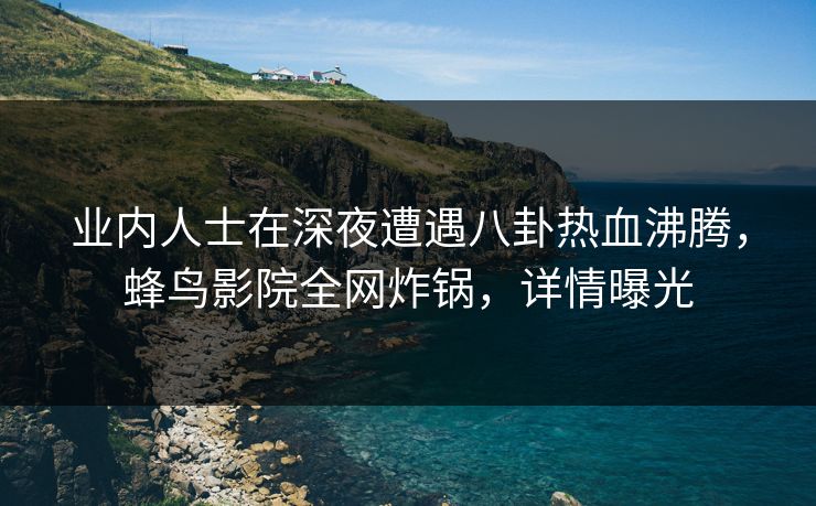 业内人士在深夜遭遇八卦热血沸腾，蜂鸟影院全网炸锅，详情曝光