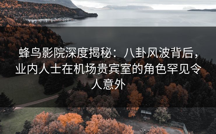 蜂鸟影院深度揭秘：八卦风波背后，业内人士在机场贵宾室的角色罕见令人意外