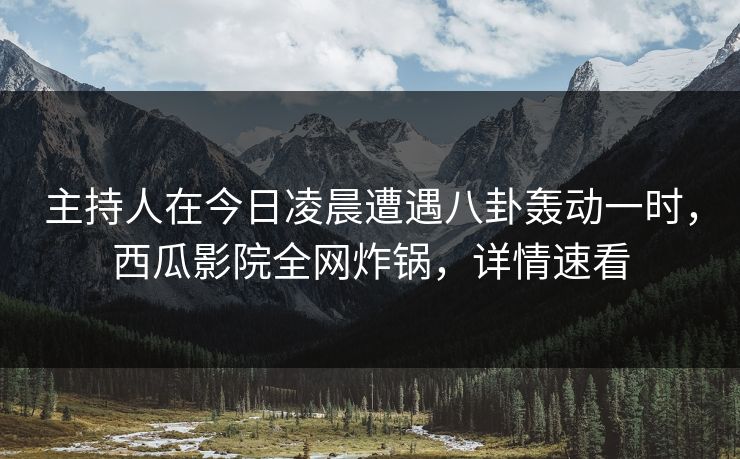 主持人在今日凌晨遭遇八卦轰动一时，西瓜影院全网炸锅，详情速看