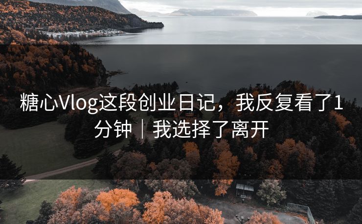 糖心Vlog这段创业日记，我反复看了1分钟｜我选择了离开